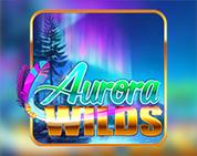 Aurora Wilds