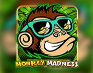 Monkey Madness